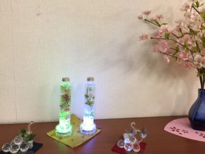 H30年度玄関桜